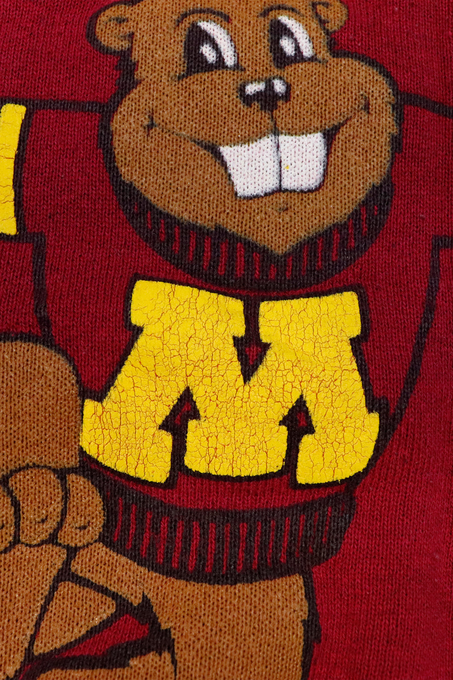 Vintage NFL Minnesota Gophers Sweatshirt