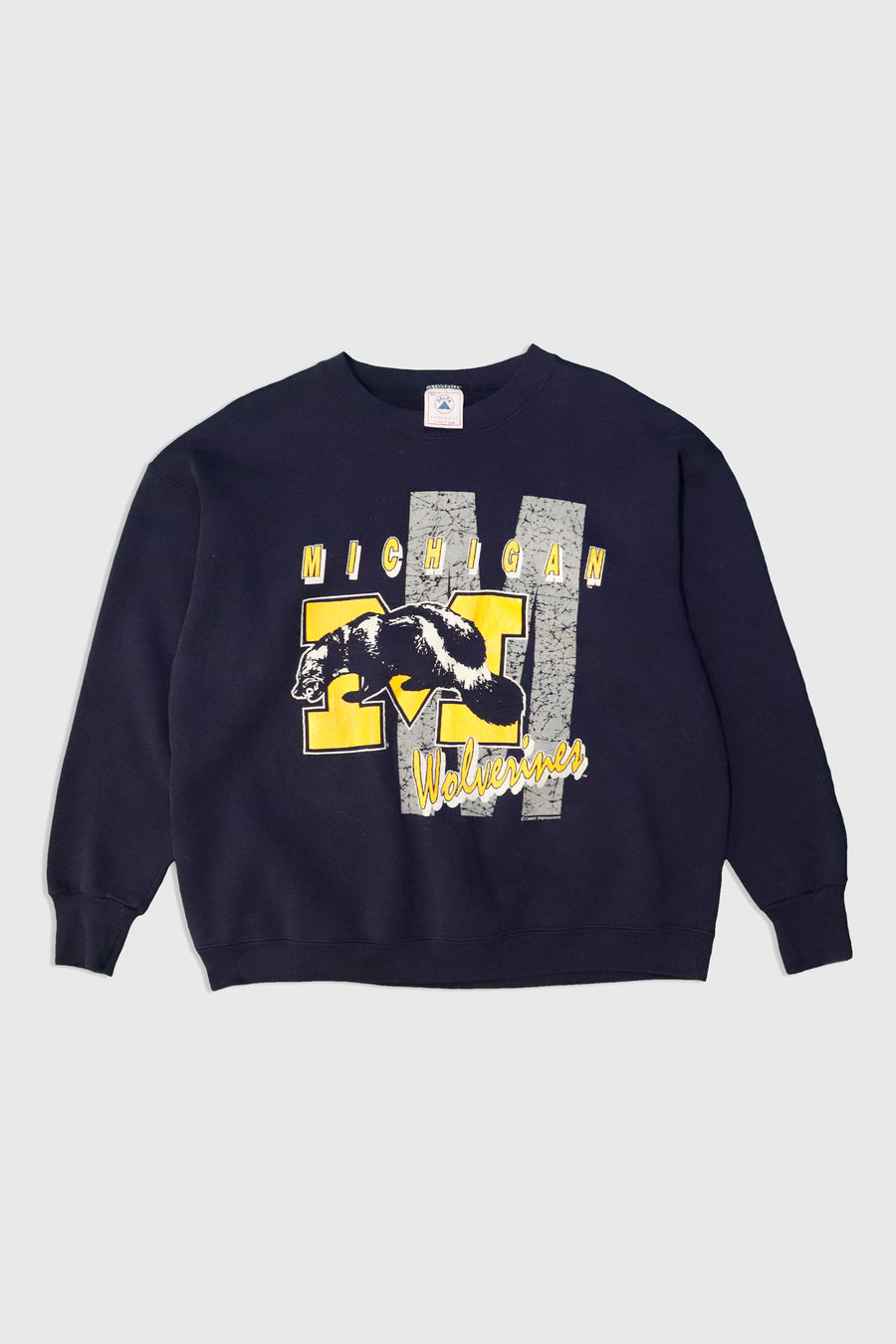 Vintage NFL Michigan Wolverines Sweatshirt